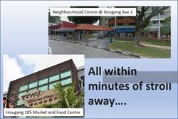 Blk 171 Hougang Avenue 1 (Hougang), HDB 5 Rooms #145659222